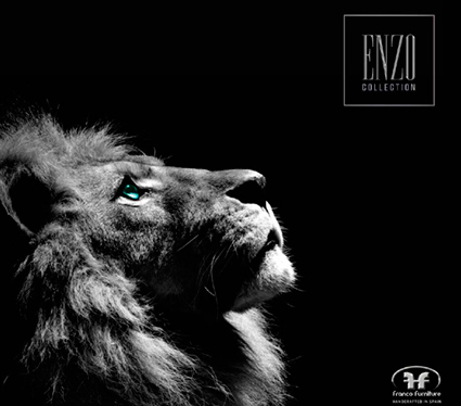 Nuevo catálogo informatizado: F. Franco e Hijos  – ENZO