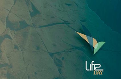 Nuevo catálogo informatizado: TORGA MOBILIARIO – LIFE DAY